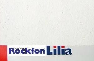 Потолочная плита Лилия (Lilia) А24 1200х600х15